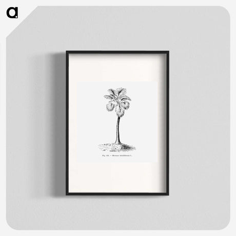 1-81_Les-Palmiers-Histoire-Iconographique_blk
