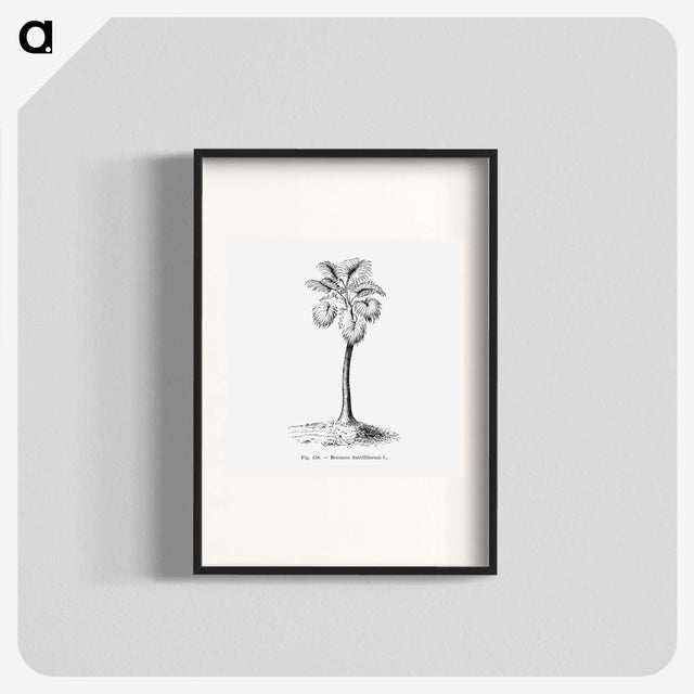 1-81_Les-Palmiers-Histoire-Iconographique_blk