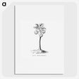 1-81_Les-Palmiers-Histoire-Iconographique_picture