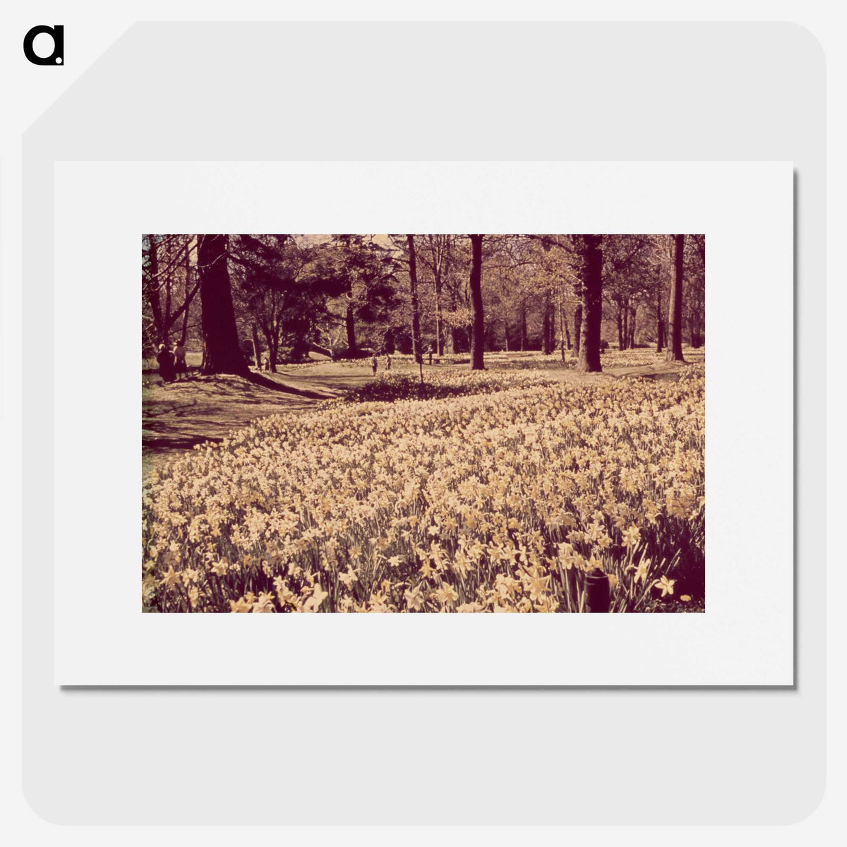 1-81_Leslie-Adkin_picture