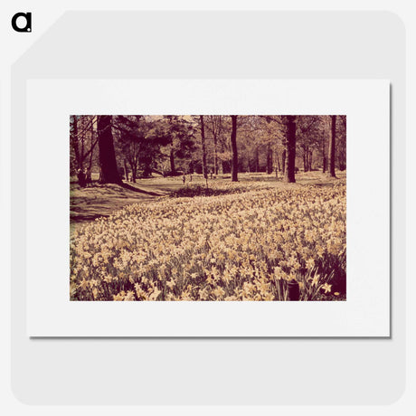1-81_Leslie-Adkin_picture