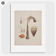 1-81_Luigi-Balugani_picture