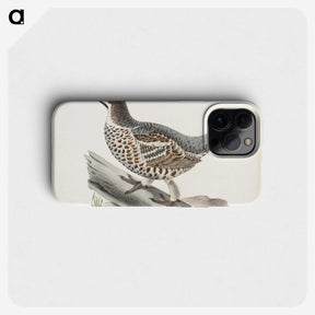 1-81_Magnus-von-Wright_phone