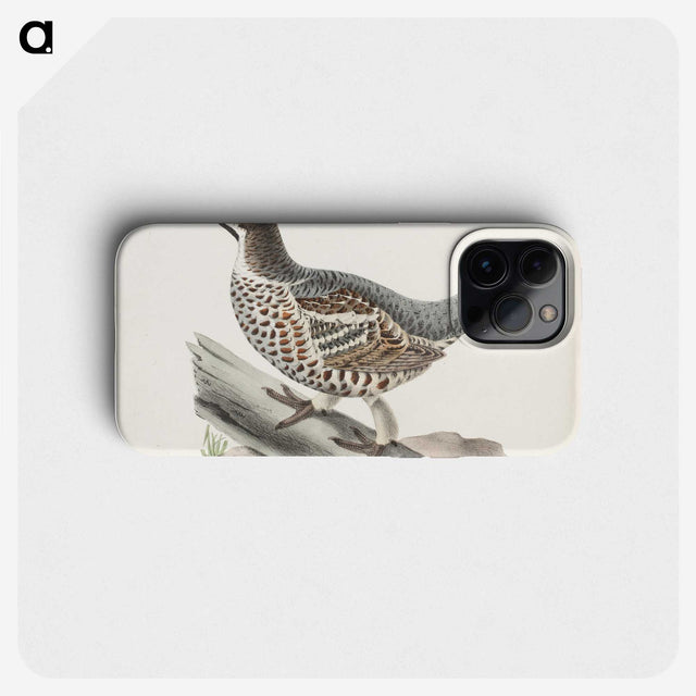 1-81_Magnus-von-Wright_phone