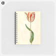 アートメモ帳-Tulipa gesneriana
 - マリア ジビーラ メーリアン Memo.