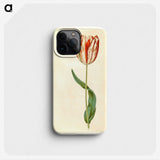 1-81_Maria-Sibylla-Merian_phone