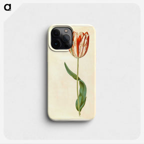 1-81_Maria-Sibylla-Merian_phone