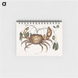 1-81_Mark-Catesby_memo