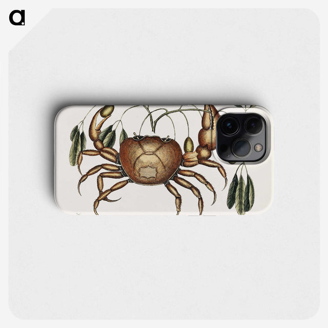 1-81_Mark-Catesby_phone
