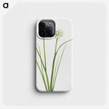 1-81_Mary-Vaux-Walcott_phone