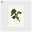 1-81_Medical-Botany_hagaki