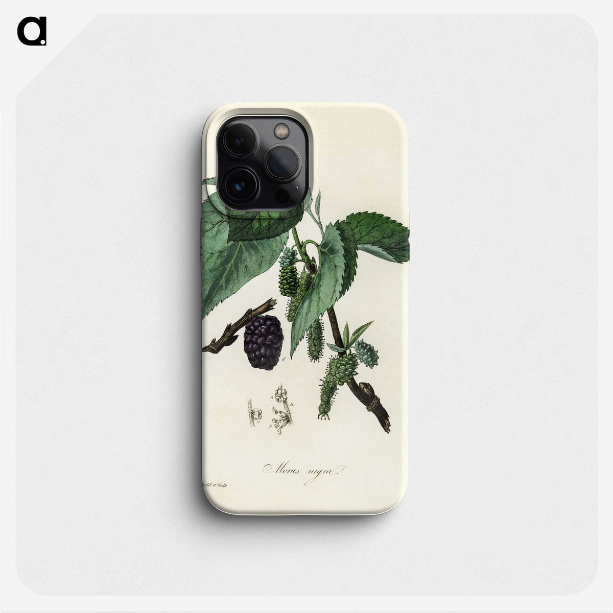 1-81_Medical-Botany_phone