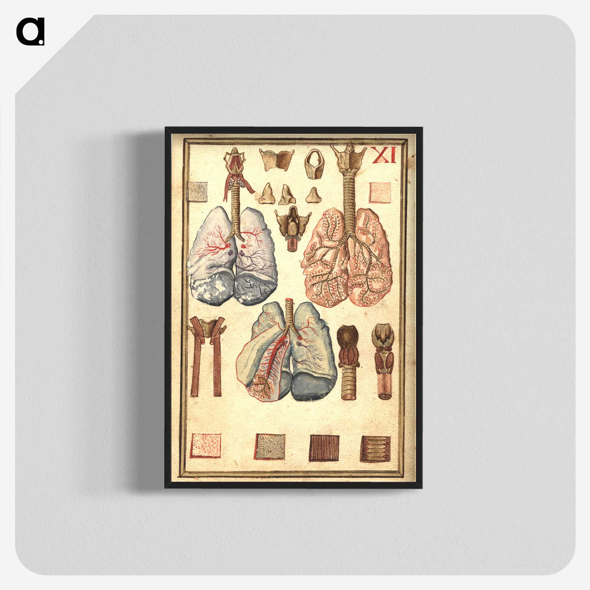1-81_National-Library-of-Medicine_blk-crop