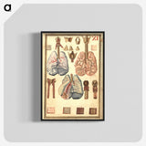1-81_National-Library-of-Medicine_blk-crop