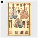 1-81_National-Library-of-Medicine_picture-crop