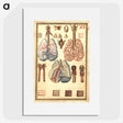 1-81_National-Library-of-Medicine_picture