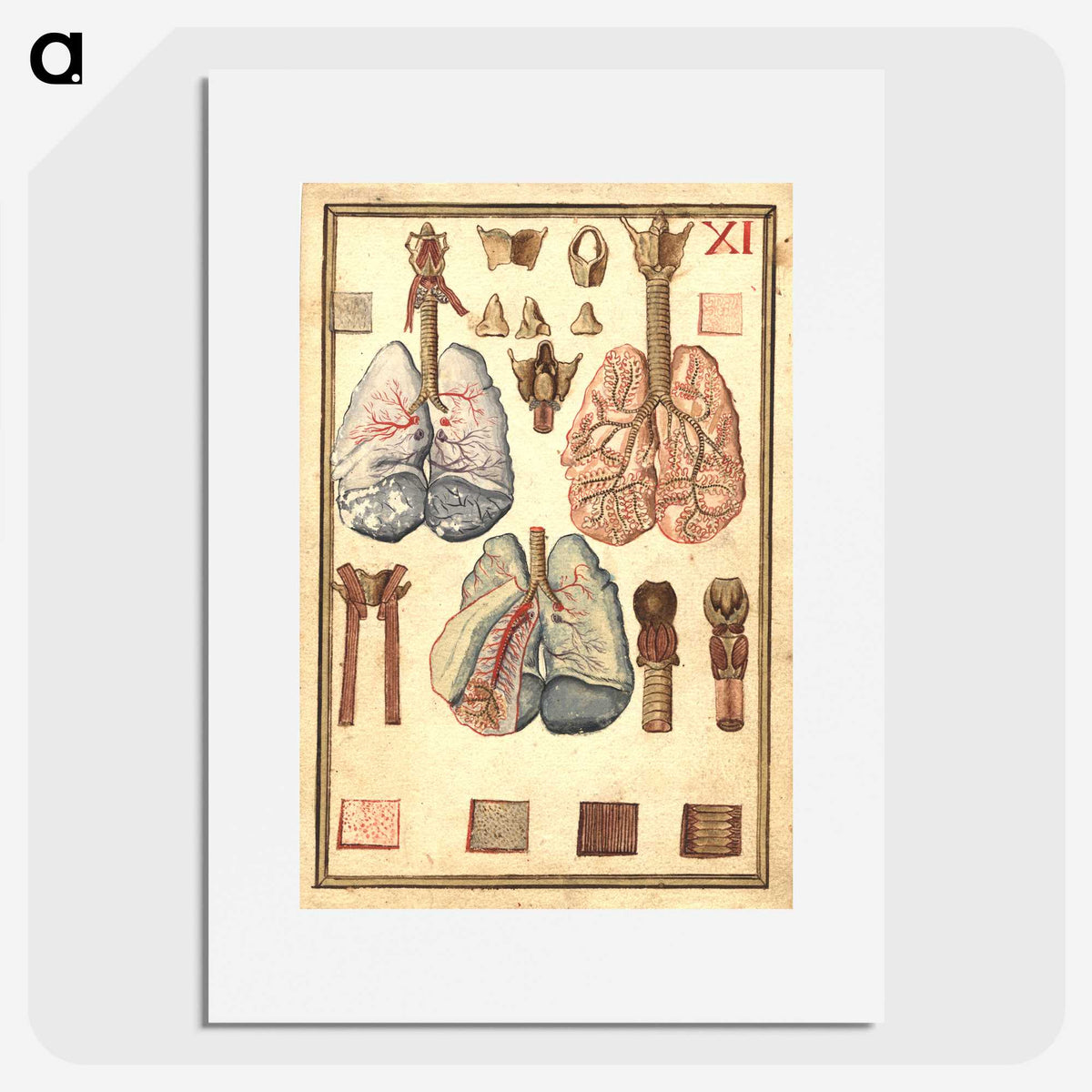 1-81_National-Library-of-Medicine_picture
