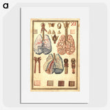 1-81_National-Library-of-Medicine_picture