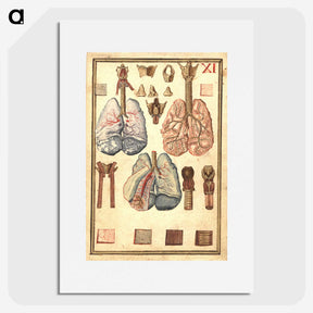 1-81_National-Library-of-Medicine_picture