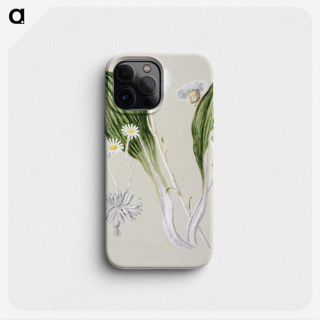 1-81_Native-Flowering-Plants-of-New-Zealand_phone