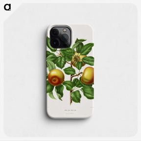 1-81_Nederlandsche-Flora-en-Pomona_phone