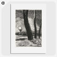 1-81_Odilon-Redon_picture
