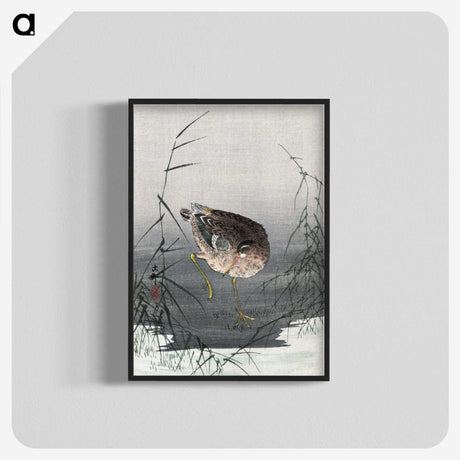 1-81_Ohara-Koson_blk-crop