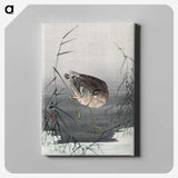 1-81_Ohara-Koson_canvas