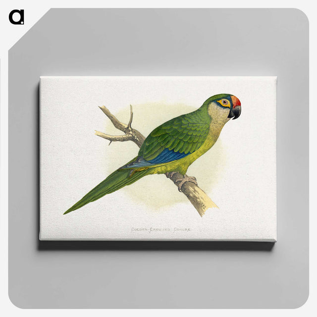 1-81_Parrots-in-Captivity_canvas