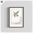 アートポスター-Japanese Common Kingfisher Illustration
 - 鳥類図鑑 Poster.
