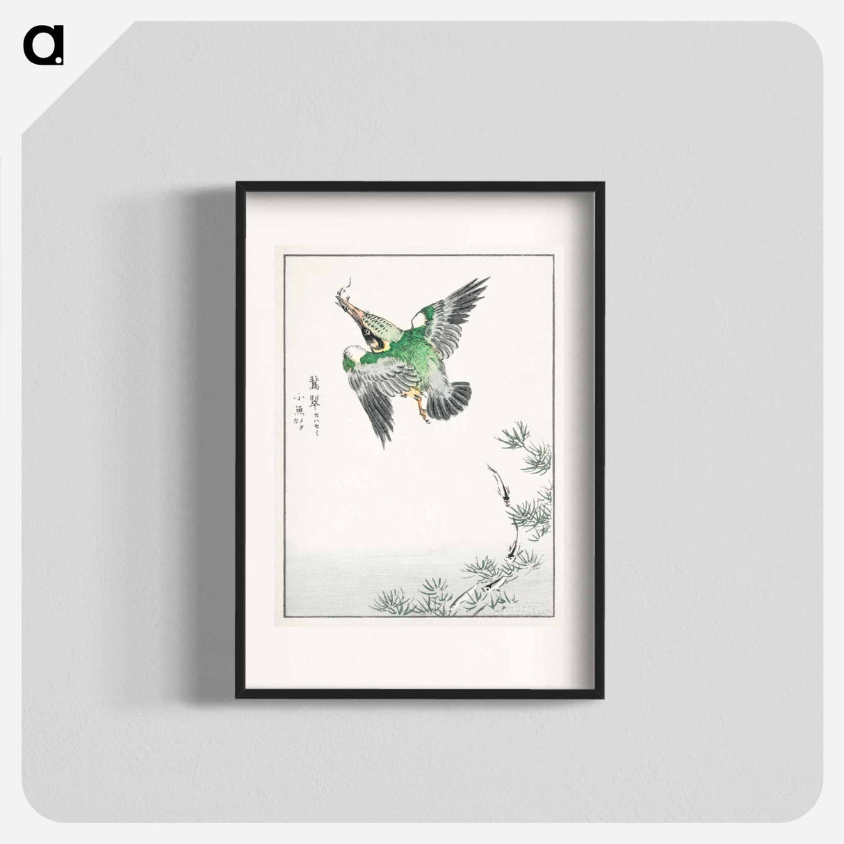アートポスター-Japanese Common Kingfisher Illustration
 - 鳥類図鑑 Poster.