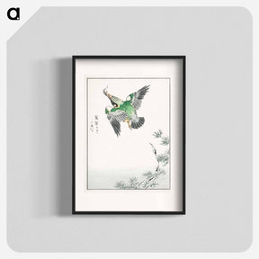 アートポスター-Japanese Common Kingfisher Illustration
 - 鳥類図鑑 Poster.