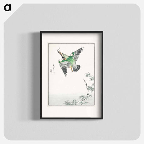 アートポスター-Japanese Common Kingfisher Illustration
 - 鳥類図鑑 Poster.