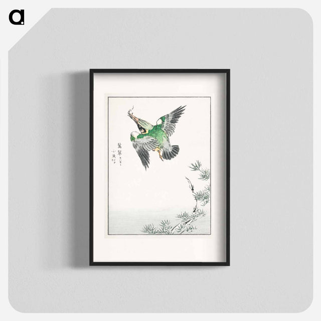 アートポスター-Japanese Common Kingfisher Illustration
 - 鳥類図鑑 Poster.