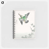 アートメモ帳-Japanese Common Kingfisher Illustration
 - 鳥類図鑑 Memo.