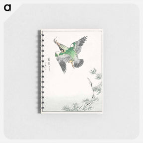 アートメモ帳-Japanese Common Kingfisher Illustration
 - 鳥類図鑑 Memo.