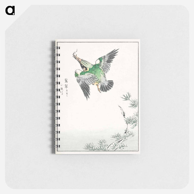 アートメモ帳-Japanese Common Kingfisher Illustration
 - 鳥類図鑑 Memo.