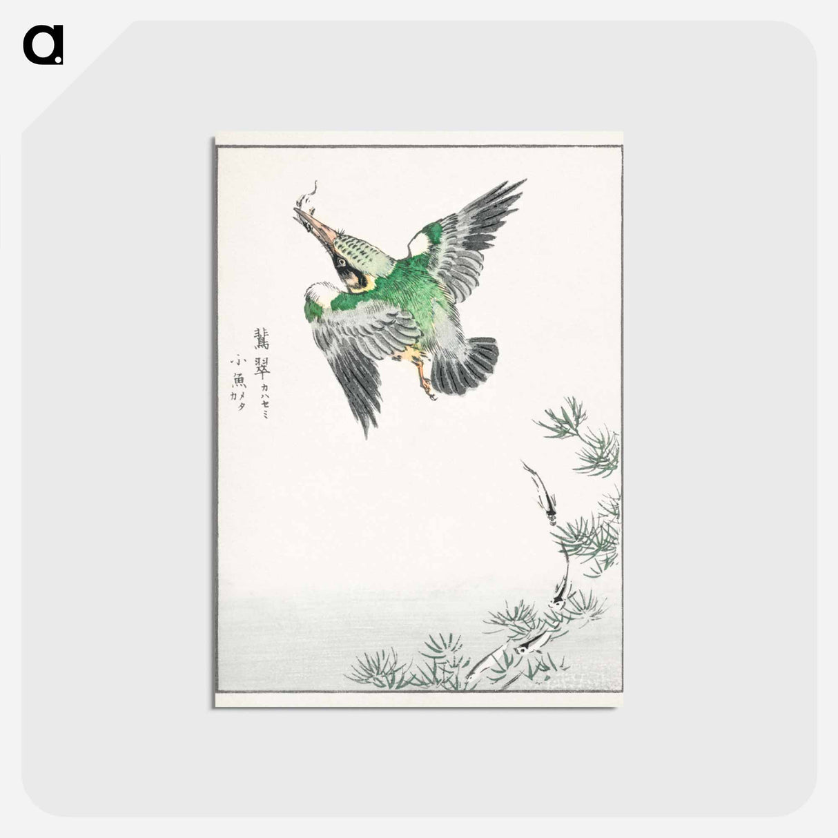 アートポストカード-Japanese Common Kingfisher Illustration
 - 鳥類図鑑 Postcard.