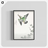 1-81_Pictorial-Monograph-of-Birds_blk-crop