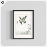 1-81_Pictorial-Monograph-of-Birds_blk