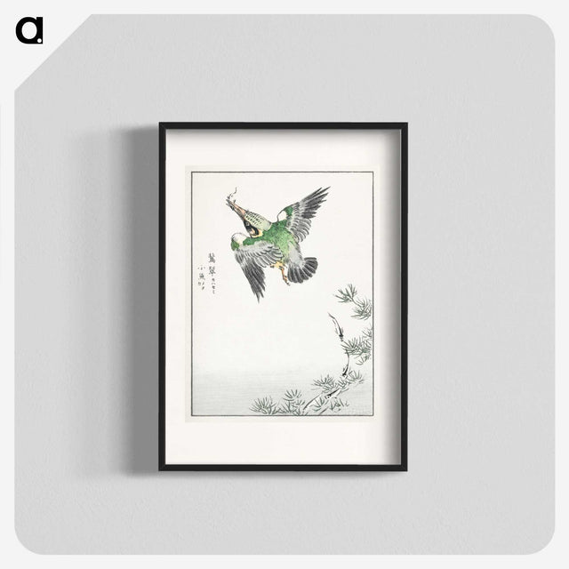 1-81_Pictorial-Monograph-of-Birds_blk