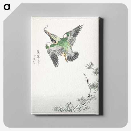 1-81_Pictorial-Monograph-of-Birds_canvas