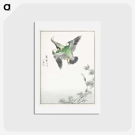 1-81_Pictorial-Monograph-of-Birds_hagaki