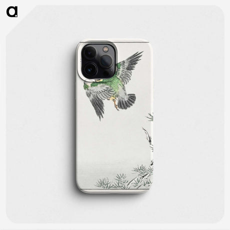 1-81_Pictorial-Monograph-of-Birds_phone