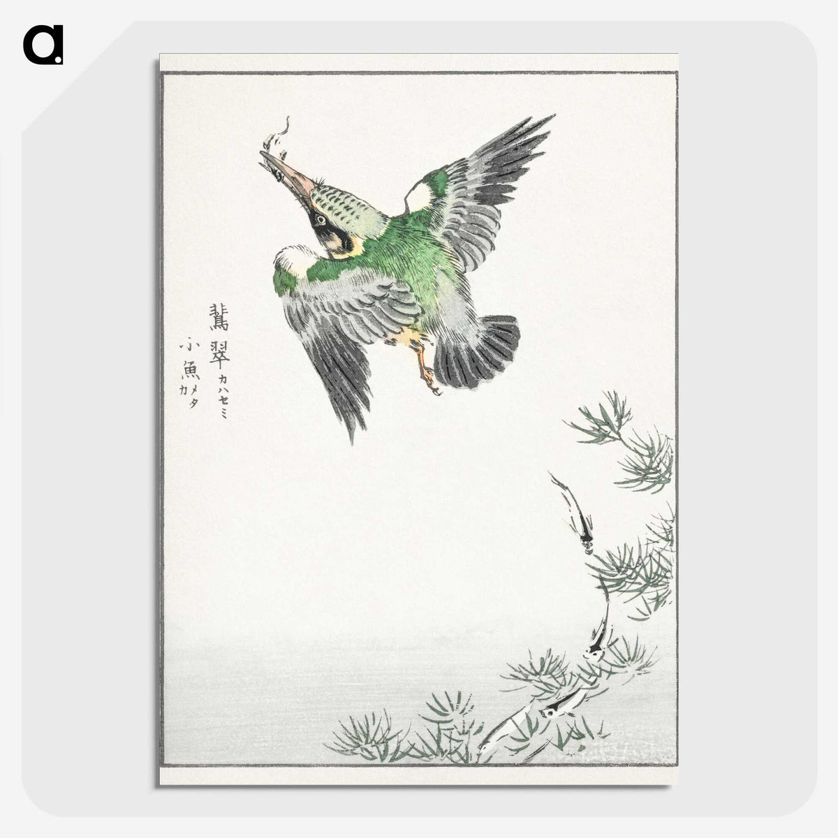 1-81_Pictorial-Monograph-of-Birds_picture-crop