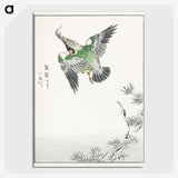 1-81_Pictorial-Monograph-of-Birds_picture-crop