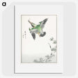 1-81_Pictorial-Monograph-of-Birds_picture