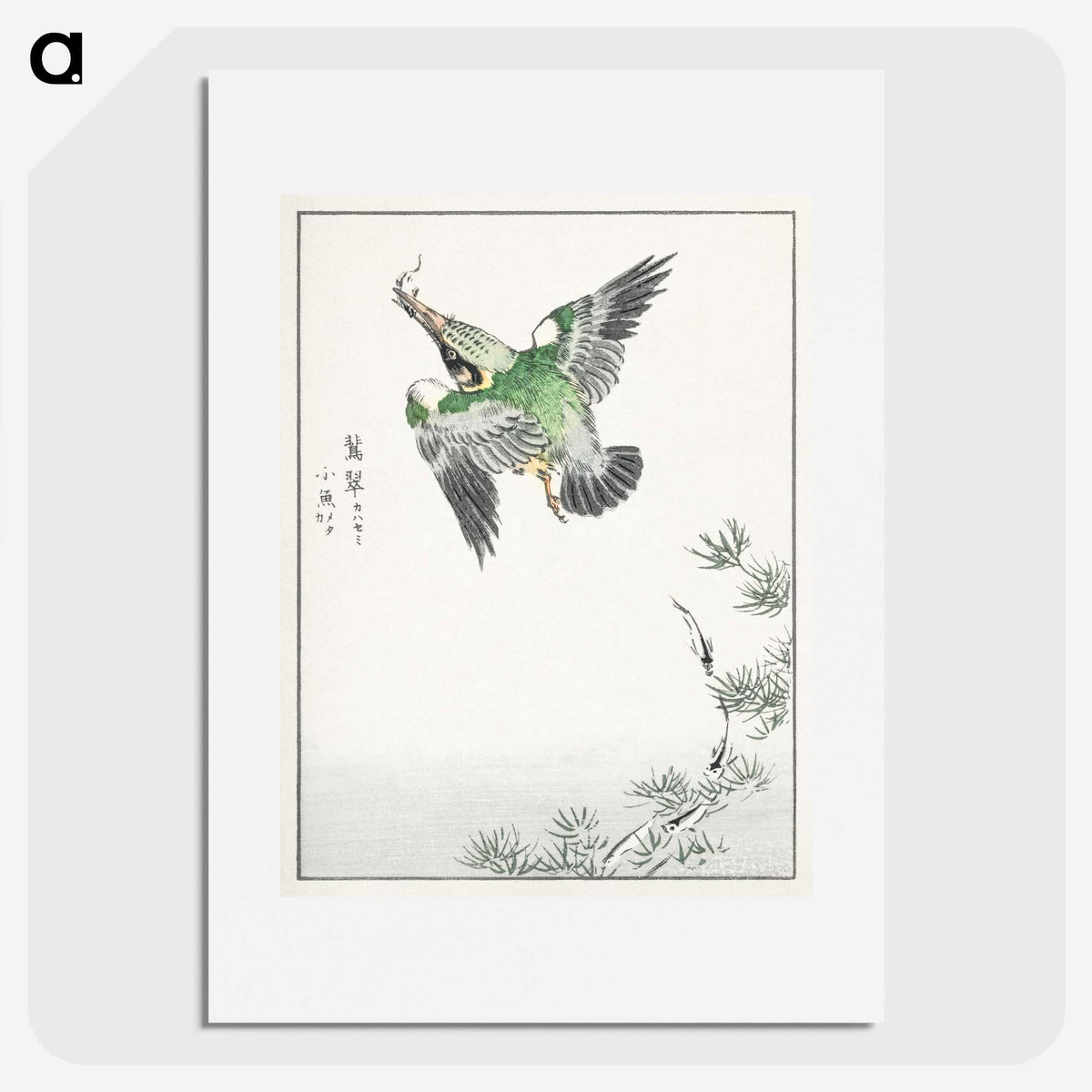 1-81_Pictorial-Monograph-of-Birds_picture