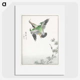 1-81_Pictorial-Monograph-of-Birds_picture