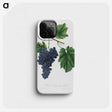1-81_Pomona-Italiana_phone